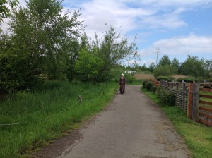 IMG_0575